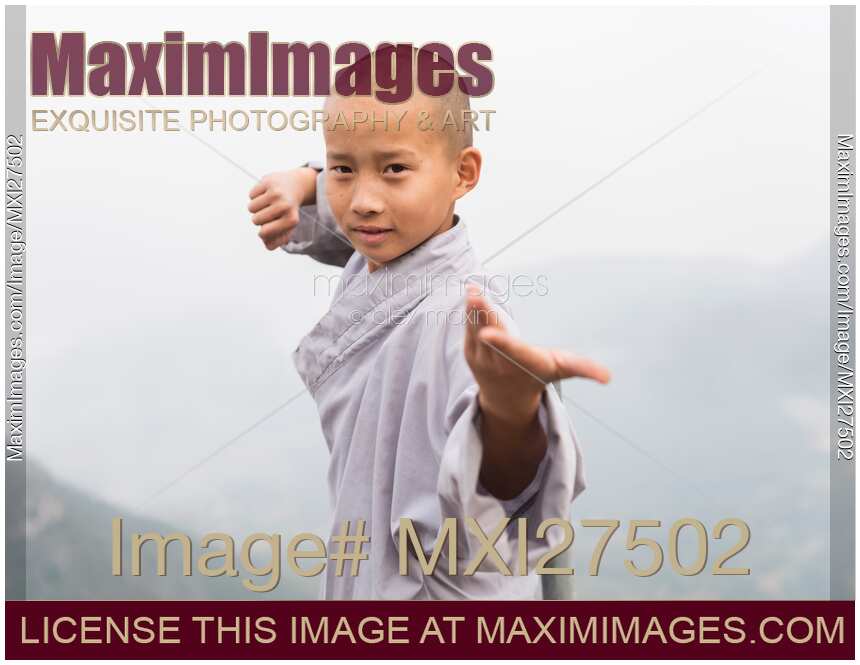 Young Shaolin monk in Kung Fu stance at mount Song in China