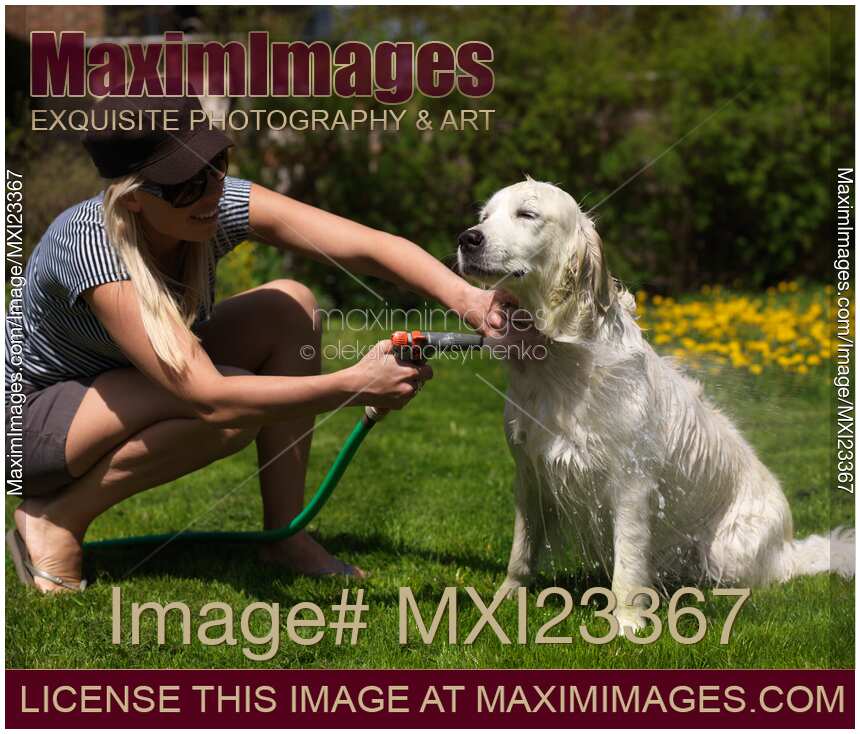 Young Woman Washing Her Dog