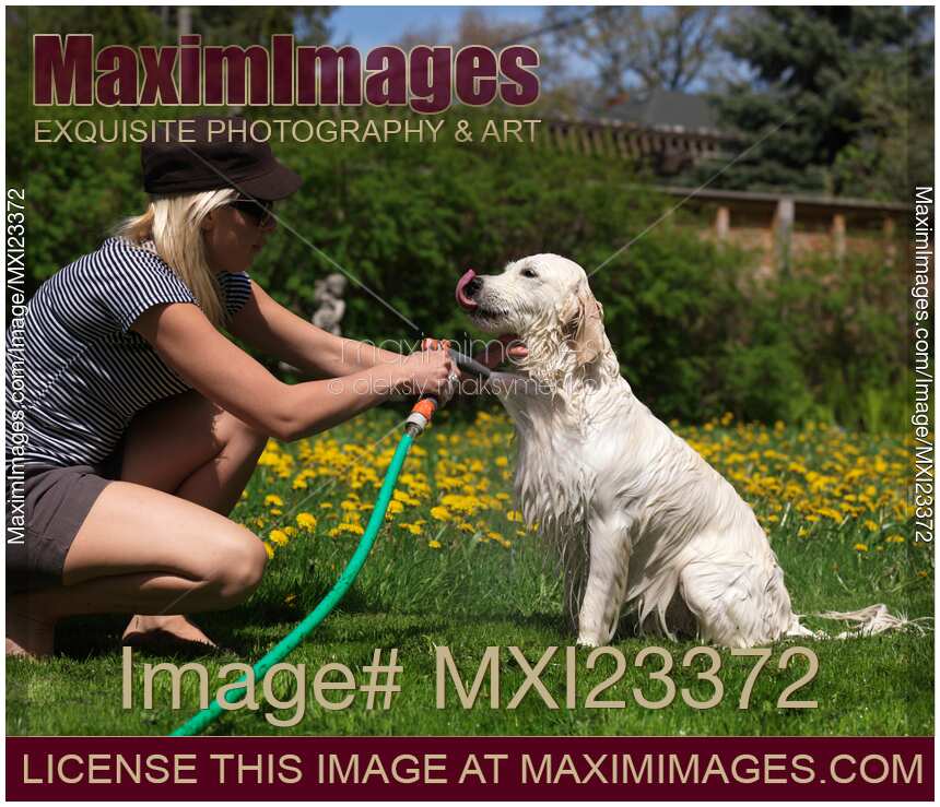 Young Woman Washing Her Dog
