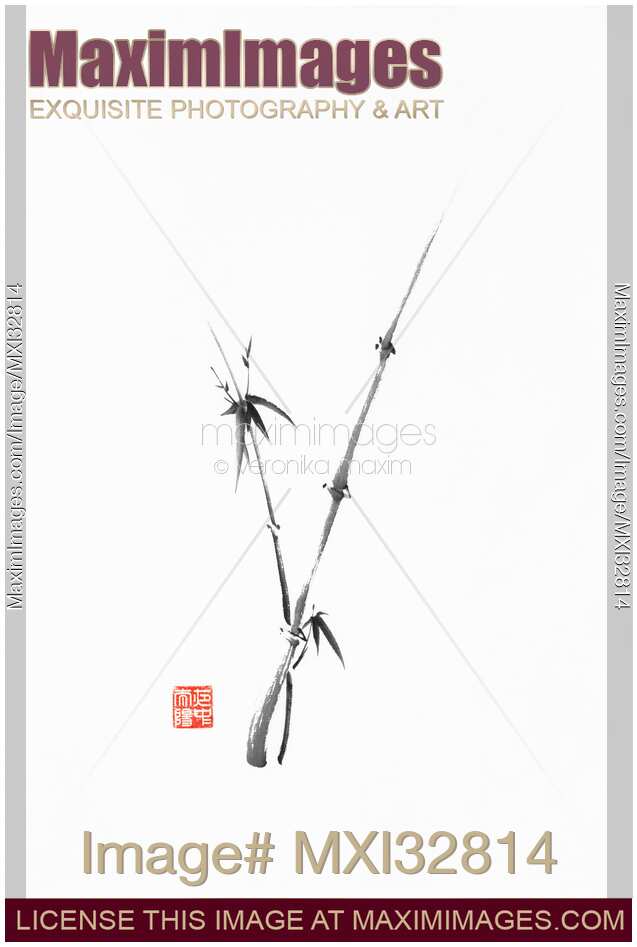 Zen bamboo two young stalks fine art painting Chinese brush black ink sumi-e illustration