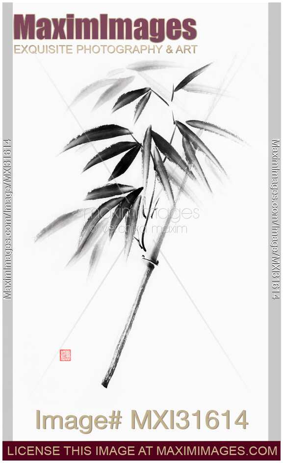 Zen black ink on white rice paper bamboo sumi-e painting illustration