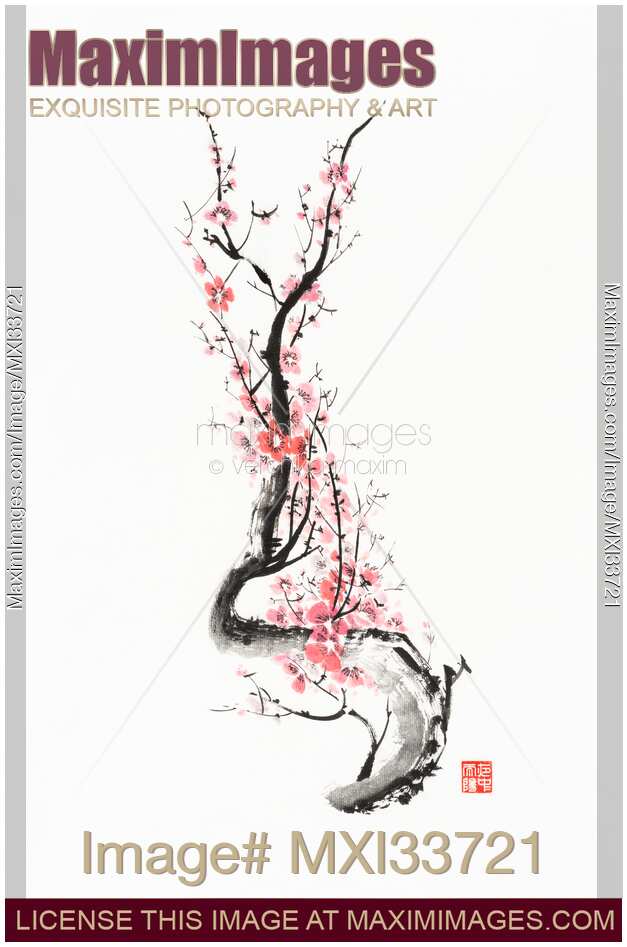 Zen style Sumi-e painting of Red plum blossom Sakura branch with pink flowers