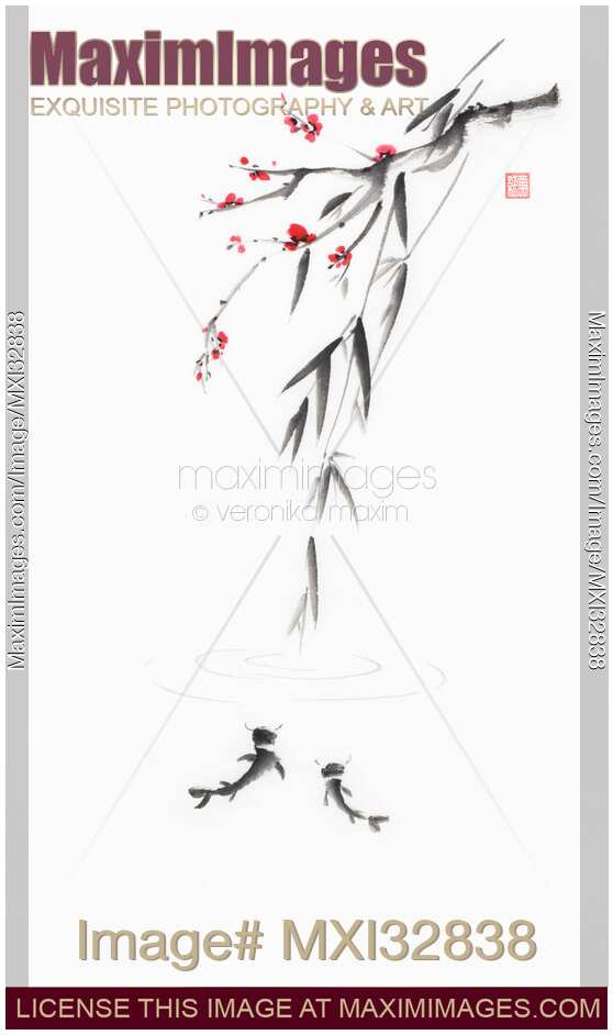 Zen style sumi-e painting of two Koi fish swimming under bamboo and sakura