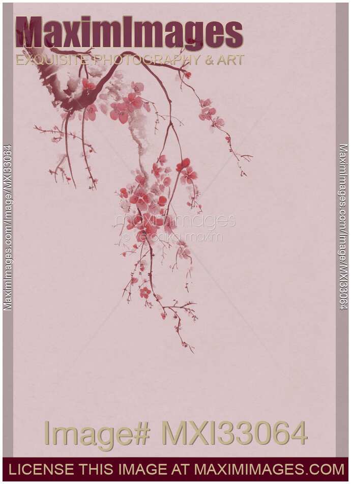 Zen sumi-e artwork of a cherry blossom branch with pink flowers on lilac background