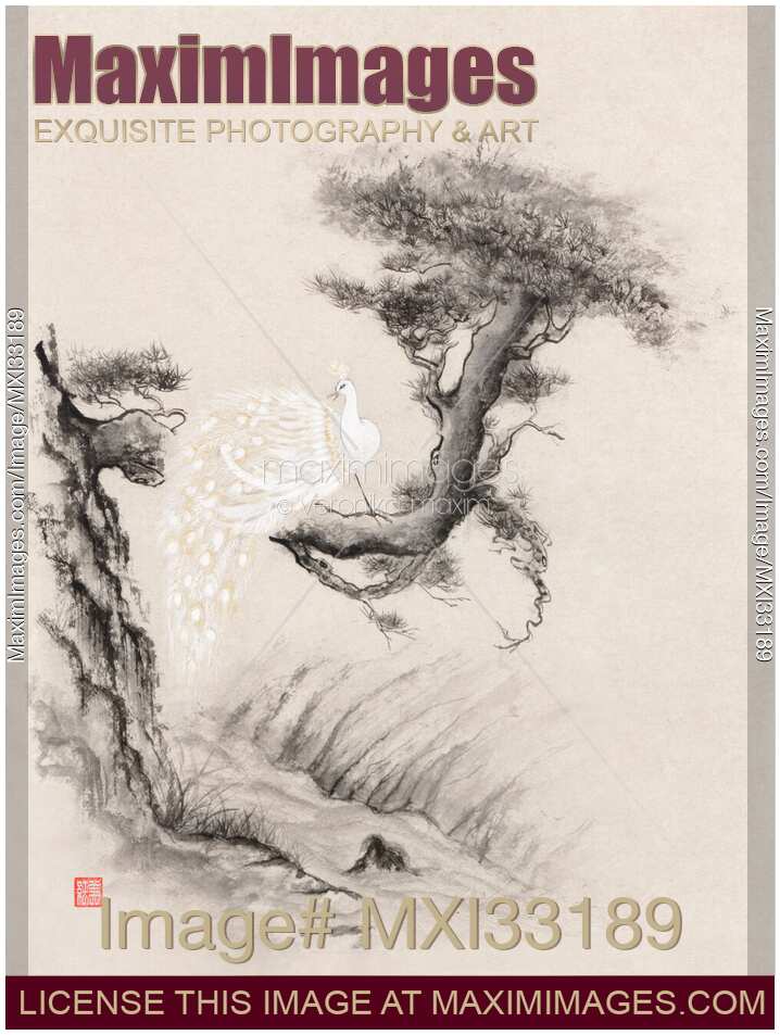 Zen sumi-e artwork of a magical white peacock perching on a branch of an old crooked pine tree