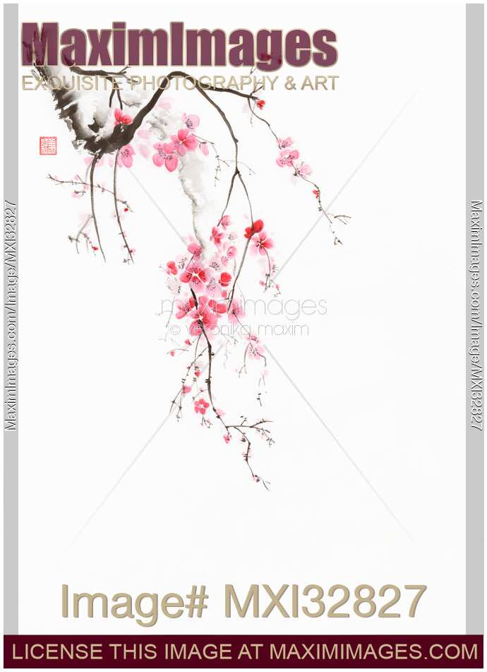 Zen sumi-e painting of a cherry blossom branch with light pink flowers on white