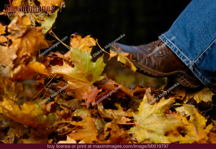 Stock photo of Shoe kicking fall leaves concept Buy commercial use license at MaximImages