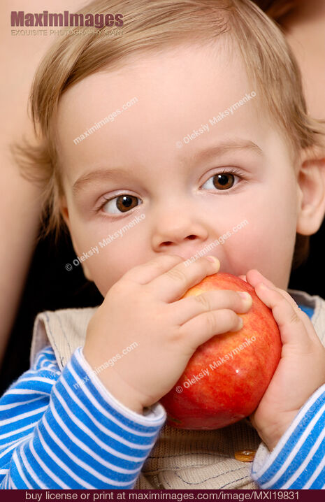 Stock photo of Baby boy eating apple Buy commercial use license at MaximImages