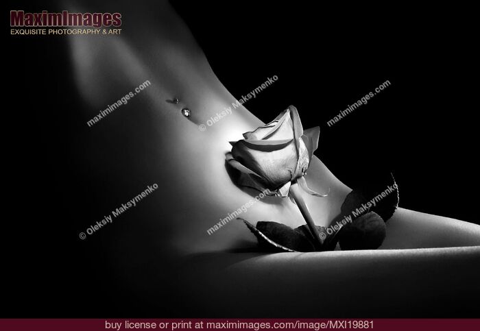 Stock photo of Beautiful Nude Female Body with a Rose Buy commercial use license at MaximImages