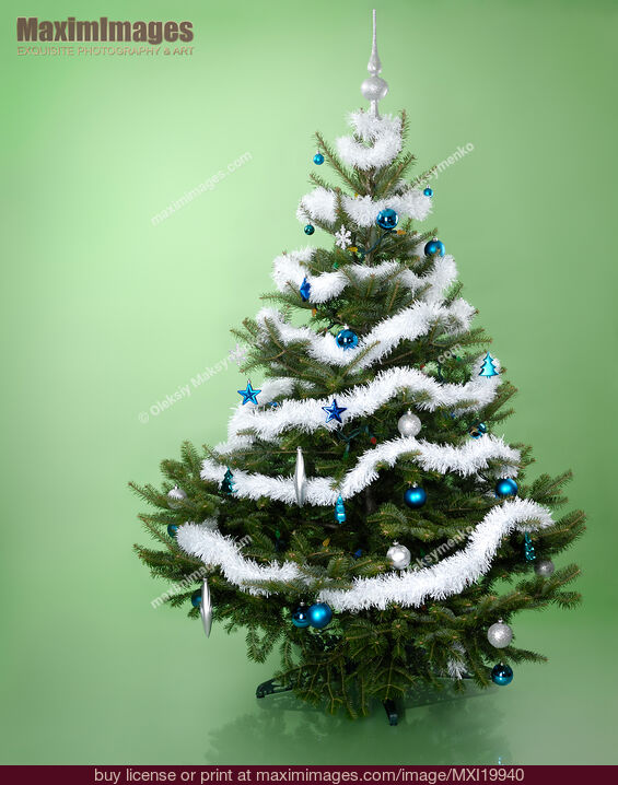 Stock photo of Christmas Tree Buy commercial use license at MaximImages