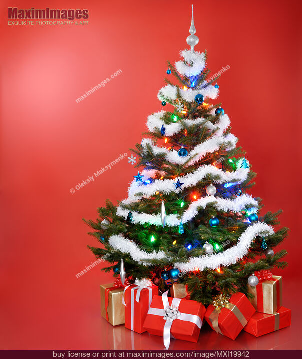 Stock photo of Christmas Tree Buy commercial use license at MaximImages