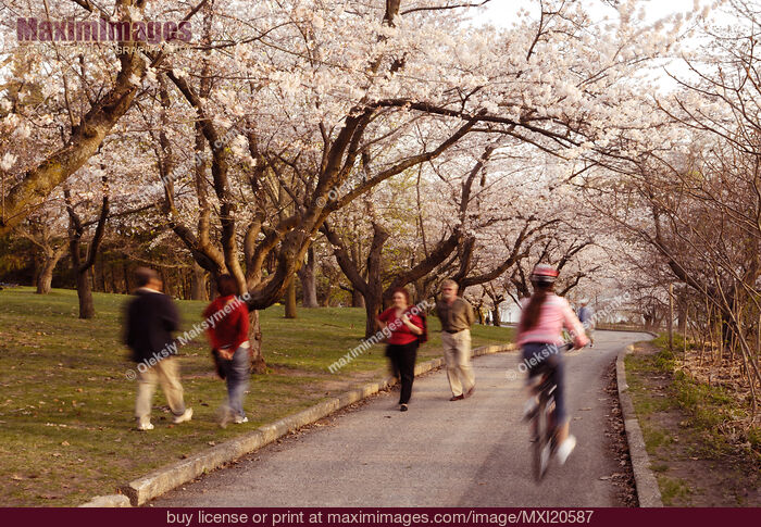 Stock photo of People in a Park Buy commercial use license at MaximImages
