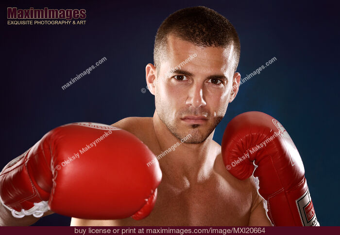 Stock photo of Boxer portrait Buy commercial use license at MaximImages