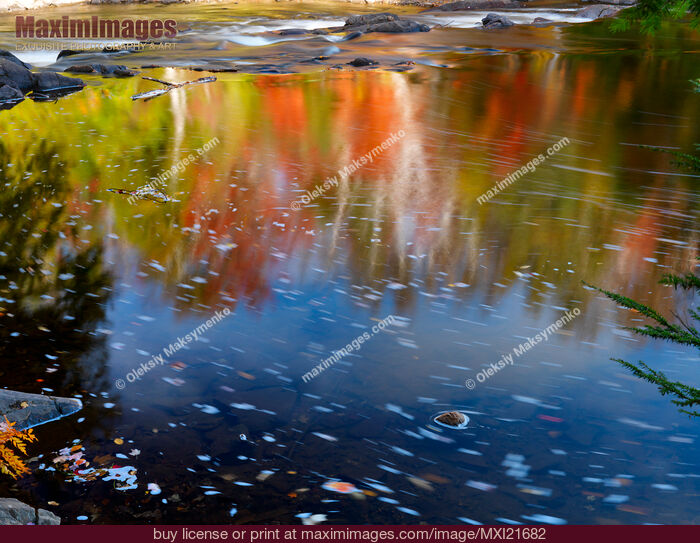 Stock photo of Fall Nature Scenery Buy commercial use license at MaximImages