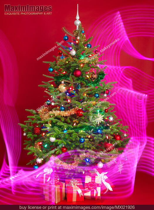 Decorated Christmas Tree. Stock Photo MXI21926