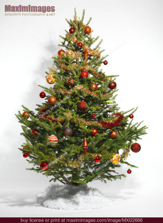 Stock photo of Decorated Christmas Tree Buy commercial use license at MaximImages