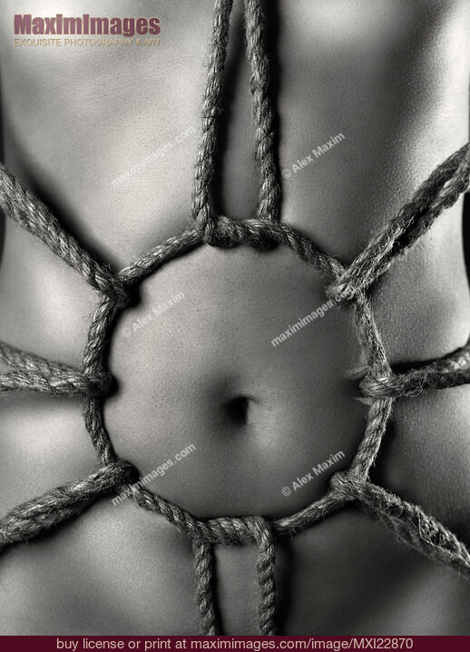 Stock photo of Black and white art nude of sexy woman body with Shibari rope bondage on her stomach Buy commercial use license at MaximImages
