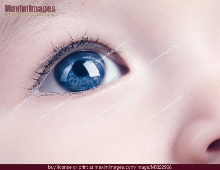 Stock photo of Closeup of a Baby's Blue Eye Buy commercial use license at MaximImages