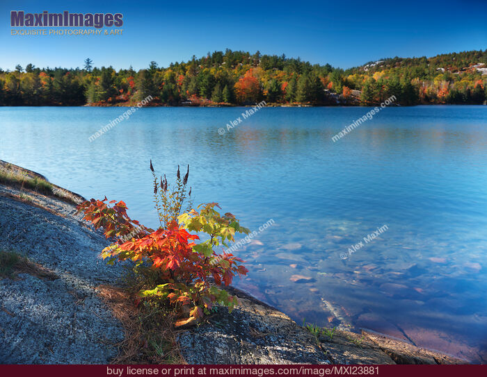 Stock photo of Killarney Provincial Park in Fall Buy commercial use license at MaximImages