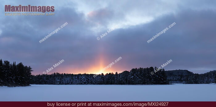 Stock photo of Panoramic winter nature scenery at sunset Buy commercial use license at MaximImages