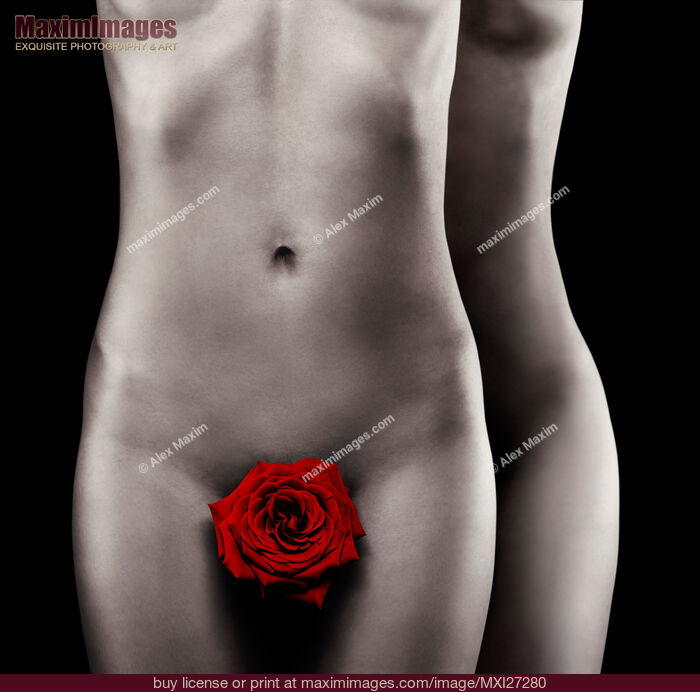 Stock photo of Two nude woman bodies with red rose gay love concept Buy commercial use license at MaximImages