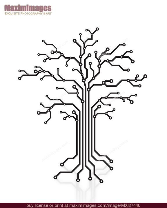 Stock image of Digital tree circuits concept Buy commercial use license at MaximImages