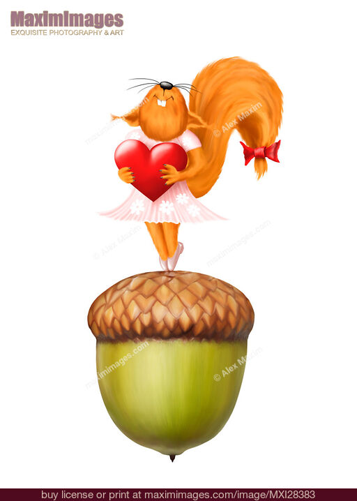 Stock image of Happy squirrel with heart standing on acorn illustration Buy commercial use license at MaximImages