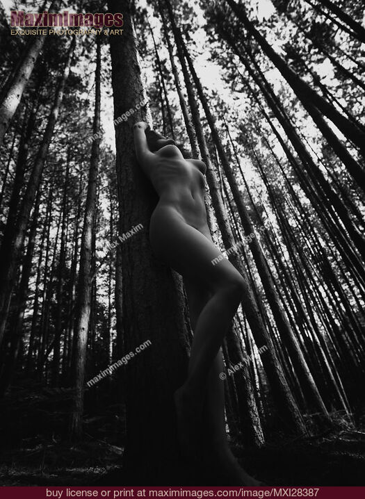 Stock photo of Beautiful nude woman leaning against tree in forest black and white Buy commercial use license at MaximImages