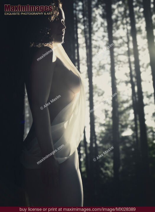 Stock photo of Beautiful artistic nude portrait of a woman in soft sunlight in forest Buy commercial use license at MaximImages