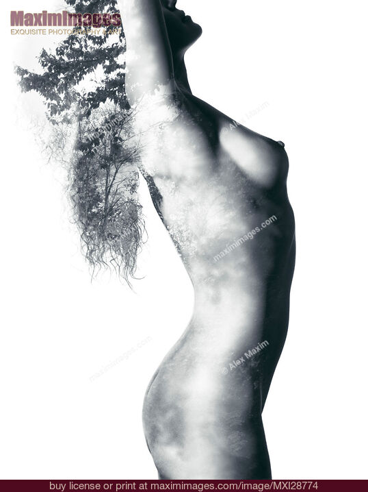 Stock photo of Nude woman body with trees and leaves nature design Buy commercial use license at MaximImages