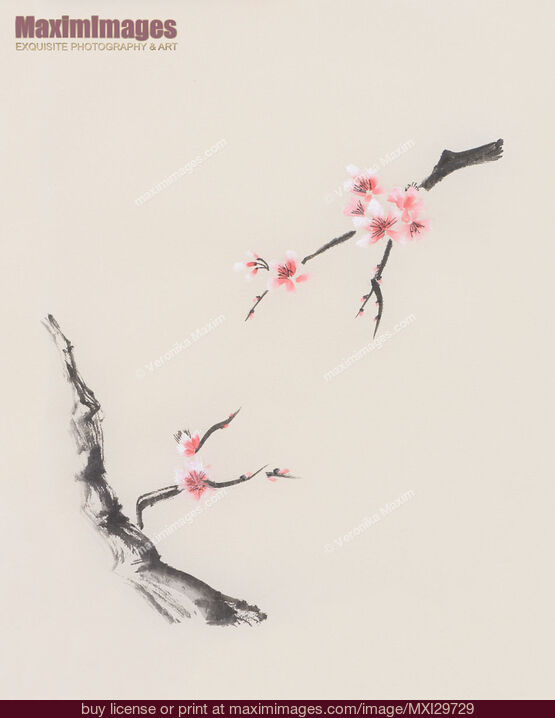 Stock image of Sakura tree branches with cherry blossom flowers oriental Zen Sumie painting on beige rice paper Buy commercial use license at MaximImages