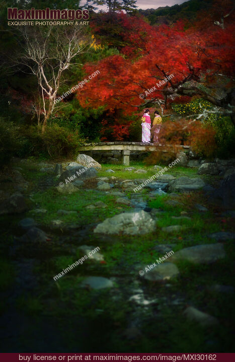 Stock photo of Two girls in kimono standing on a bridge in Japanese garden in autumn Buy commercial use license at MaximImages