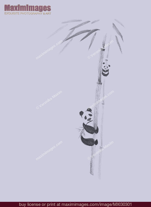 Stock image of Cute pandas climbing bamboo trees artistic illustration design on violet background Buy commercial use license at MaximImages
