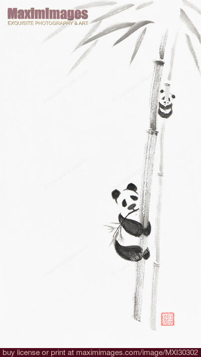 Stock image of Cute pandas climbing bamboo trees Japanese Zen Sumi-e painting on white rice paper Buy commercial use license at MaximImages