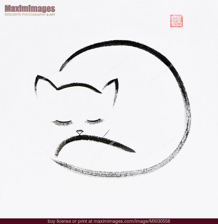 Stock image of Cute cuddled up sleeping cat Japanese Zen Sumi-e painting on white rice paper Buy commercial use license at MaximImages