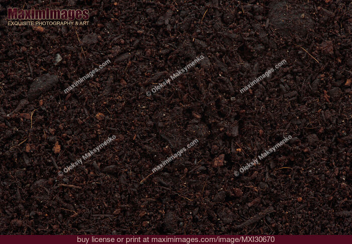 Stock photo of Organic potting soil mix closeup of texture Buy commercial use license at MaximImages
