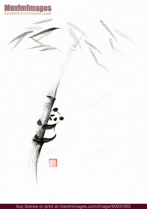 Stock image of Cute panda climbing a bamboo tree Japanese Zen Sumi-e painting on white rice paper Buy commercial use license at MaximImages