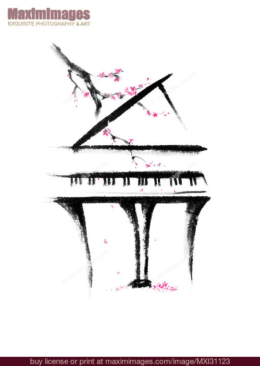 Stock image of Grand piano with a branch of sakura blossom artistic sumi-e illustration Buy commercial use license at MaximImages