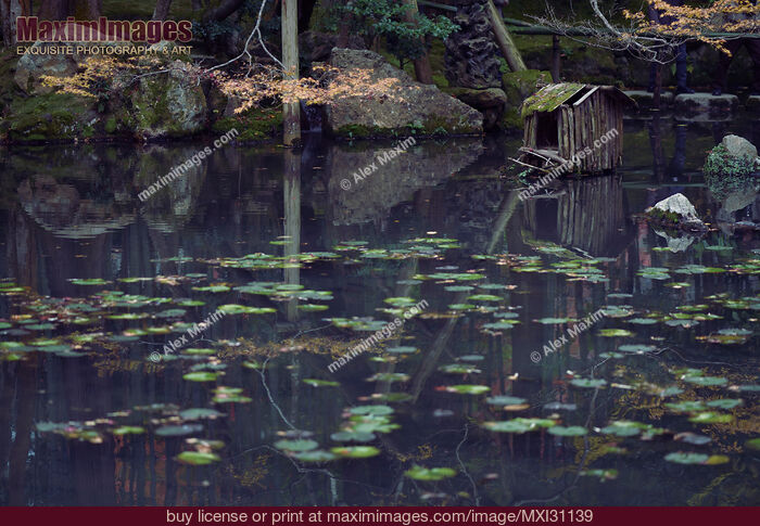 Stock photo of Tranquil Wabi-Sabi scenery at Tenjuan Temple Japanese Zen pond garden Buy commercial use license at MaximImages