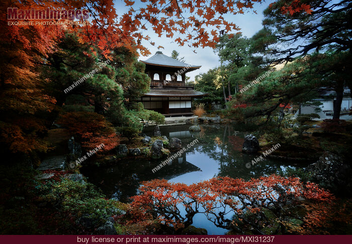 Stock photo of Kannonden hall with a pond in autumn scenery of Ginkaku-ji Temple of Silver Pavilion Jisho-ji Buy commercial use license at MaximImages