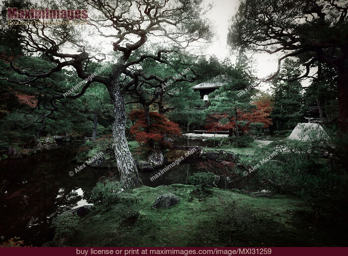 Stock photo of Autumn scenery of Ginkakuji Temple Japanese Zen garden Buy commercial use license at MaximImages