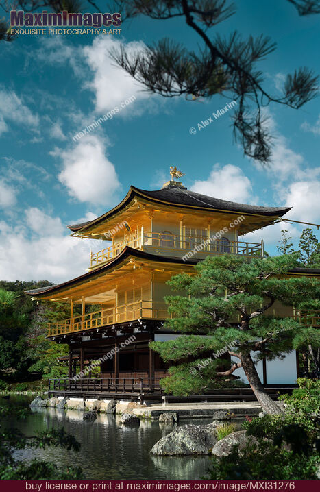 Stock photo of Kyoto Kinkakuji Temple of the Golden Pavilion in a beautiful pond Zen garden scenery Buy commercial use license at MaximImages