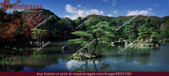 Stock photo of Panoramic landscape scenery of pine trees in a pond at Rokuon-ji Japanese Zen temple garden Buy commercial use license at MaximImages