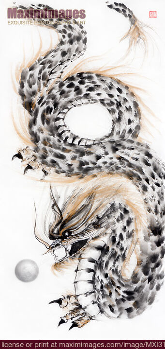 Stock image of Coiled asian dragon chasing the Pearl of Wisdom sumi-e black ink painting Buy commercial use license at MaximImages