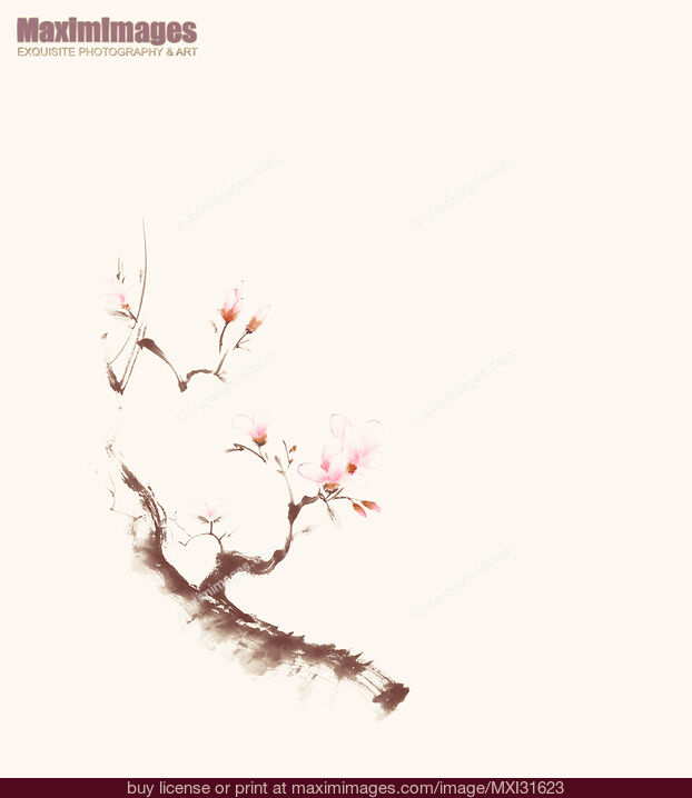 Stock image of Gentle sumi-e design of a blossoming sakura branch with pink flowers on light beige Buy commercial use license at MaximImages