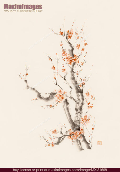 Stock image of Bushy sakura branch with many brown red flowers oriental sumi-e design Buy commercial use license at MaximImages