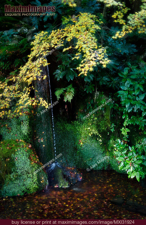 Stock photo of Sengetsusen small waterfall in Ginkaku-ji Temple Zen garden nature scenery Buy commercial use license at MaximImages