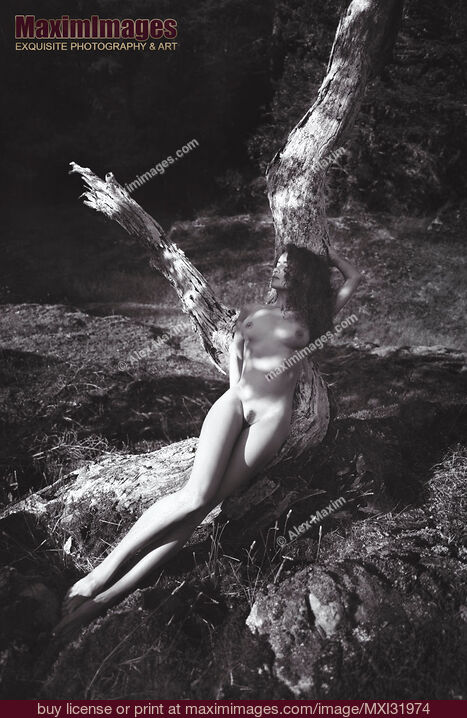 Stock photo of Beautiful naked woman lying on a trunk of a tree in the nature Black and white art nude Buy commercial use license at MaximImages