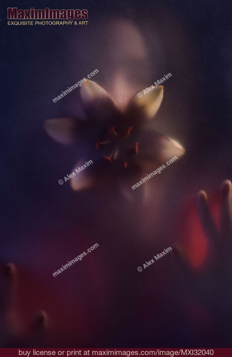 Stock photo of Snake woman with a scary tentacle like lily flower in her mouth behind a hazy glass door Buy commercial use license at MaximImages