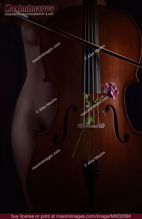 Stock photo of Mysterious nude woman silhouette behind a cello with a rose in strings Romantic sensual concept Buy commercial use license at MaximImages